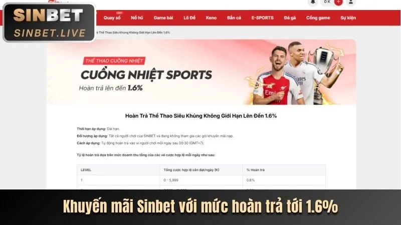 Tổng quan về các điều khoản pháp lý của mocbai bet